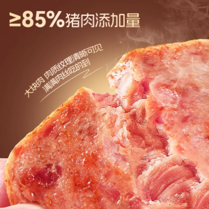 盐津铺子黑猪午餐肉即食火腿午餐肉单独包装单片肠早餐三明治专用