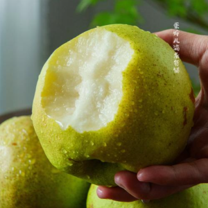 求购隰县玉露香梨、酥梨、红富士苹果（鲜果 / 电商级）