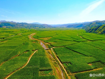 2025年我国农业科技进步贡献率超64% 前沿技术突破赋能产业升级